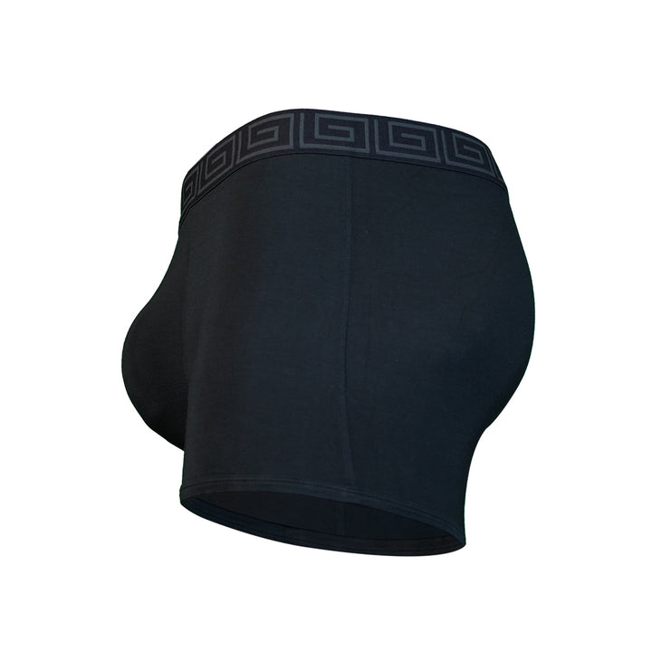 SHEATH 2.1 Bamboo Trunks - Black & Gray